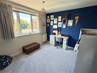 Picture 23